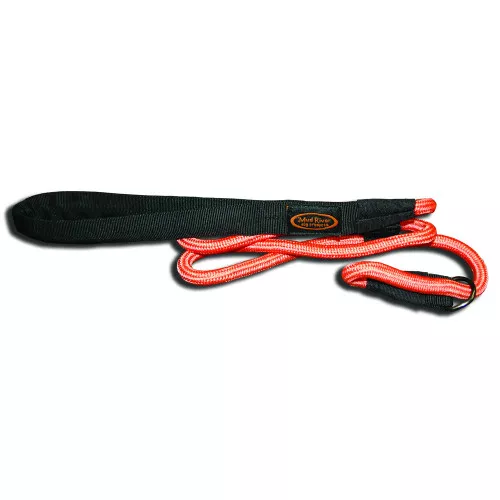 24" Nylon Dog Lead