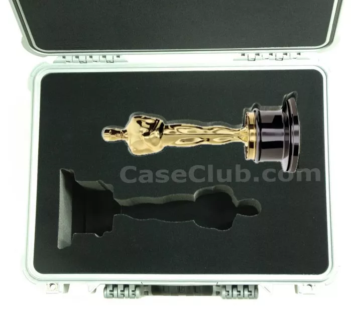 Academy Awards Oscars Case