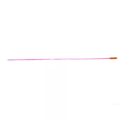 ACTION TARGET .223/5.56 Cal Train Safe Chmbr Clear Dev