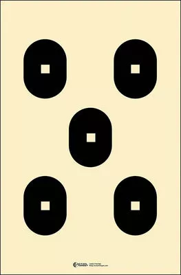 Action Target 5 Bull's-Eye Target w/ Square Centers