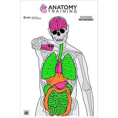 Action Target Anatomy Training Target