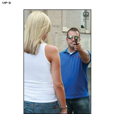 Action Target VIP Protection Target (Version 3)