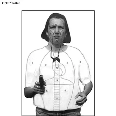Action Target Vital Anatomy Photo Target (Version B)