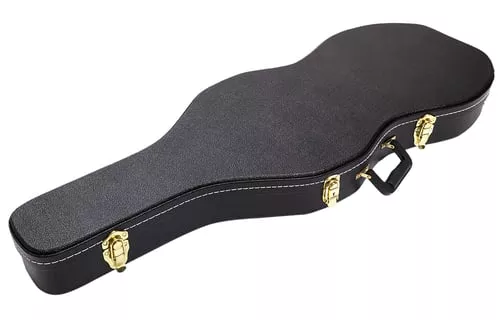 AUTO ORD VIOLIN CASE