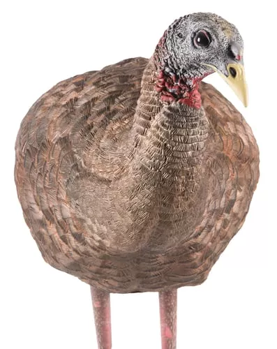 Avian-X LCD Breeder Hen Turkey Decoy