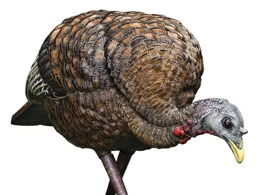 Avian-X LCD Feeder Hen Turkey Decoy