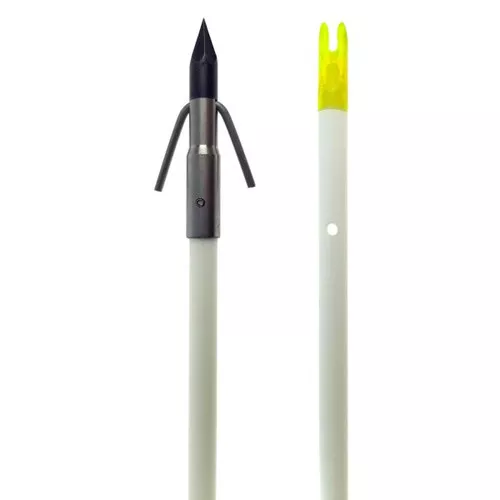 Classic Fish Arrow With Carp Point by Muzzy