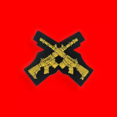 Emblazon Crossed Rifles C8 Appointment Badge