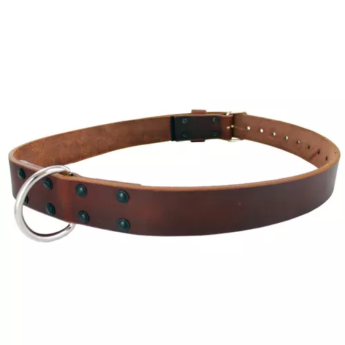 Gould & Goodrich Restraining Belt