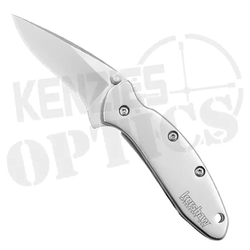 Kershaw 1600X Chive S/E Folding Knife Silver – Bead Blasted