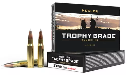 NOSLER 308WIN 150GR AB 20/200