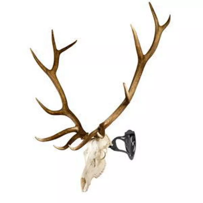 Skull Hooker Big Hooker Antler Mounting System - Graphite Black