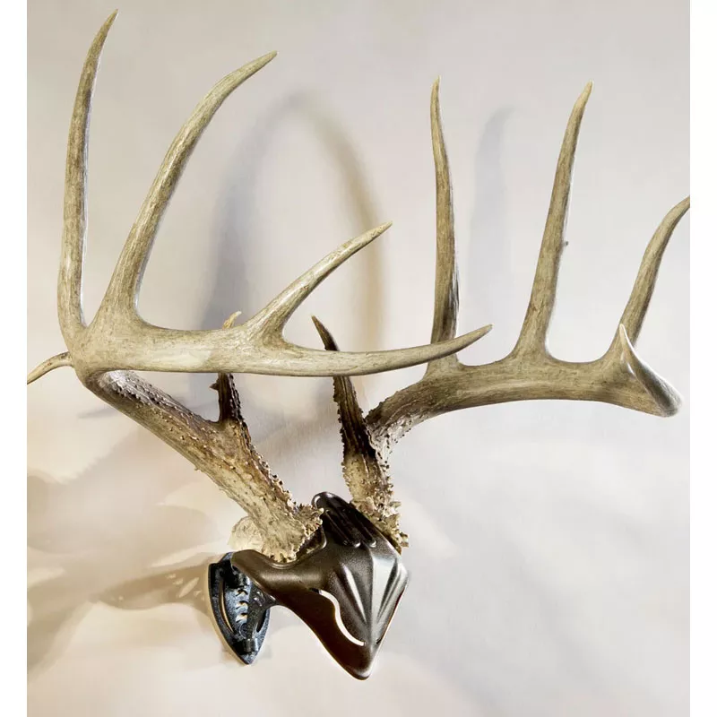 Skull Hooker Bone Bracket and Skull Cap Combo