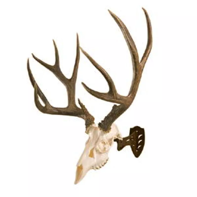 Skull Hooker Little Hooker Antler Mounting System - Robust Brown