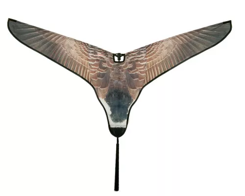 Specklebelly Goose Super Flag Decoy by Avery