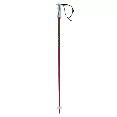 VOLKL Phantastick W Poles